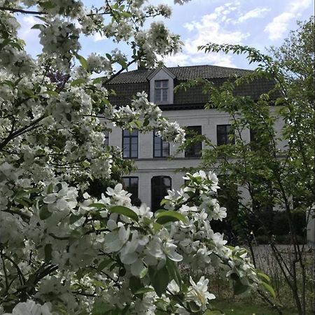 Pastorie Caeneghem Bed & Breakfast Kanegem ภายนอก รูปภาพ